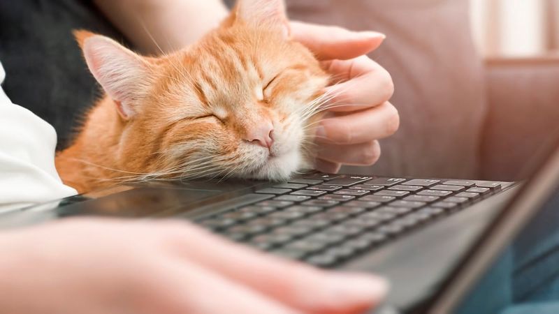 Keyboard Commanders