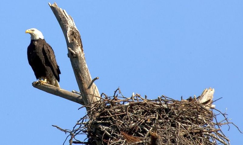 Mississippi – Noxubee National Wildlife Refuge