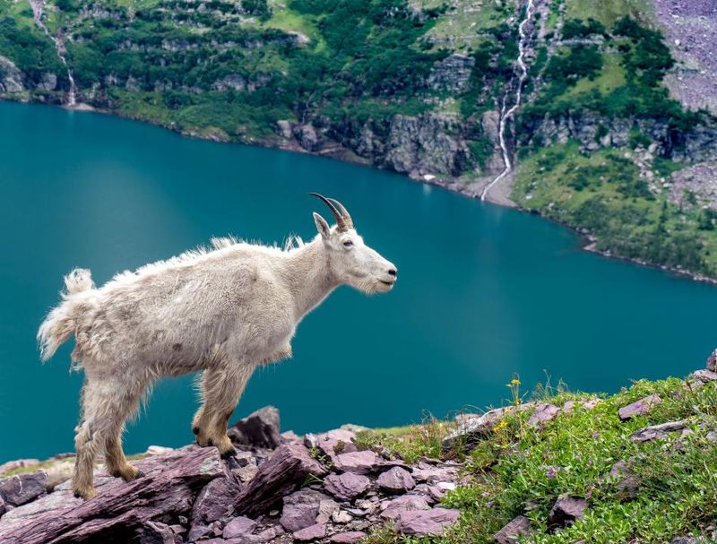 Montana – Glacier National Park