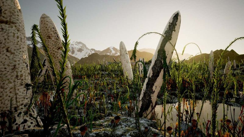 The Fungus Theory Debate