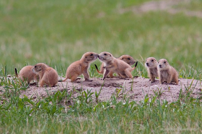 Nebraska – Cherry County