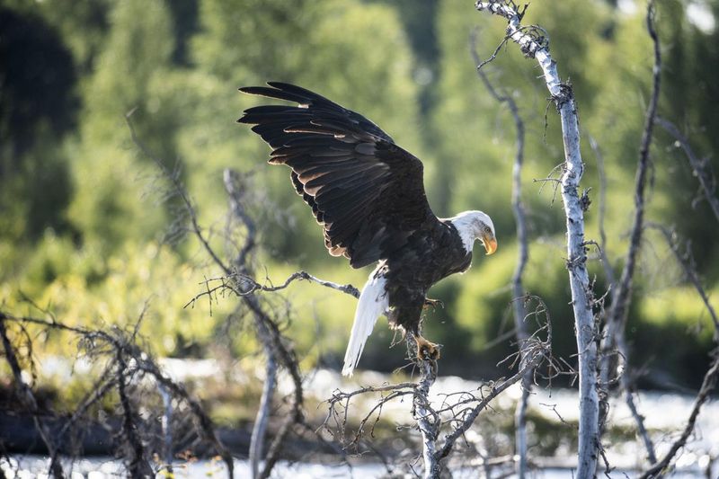 Wyoming
