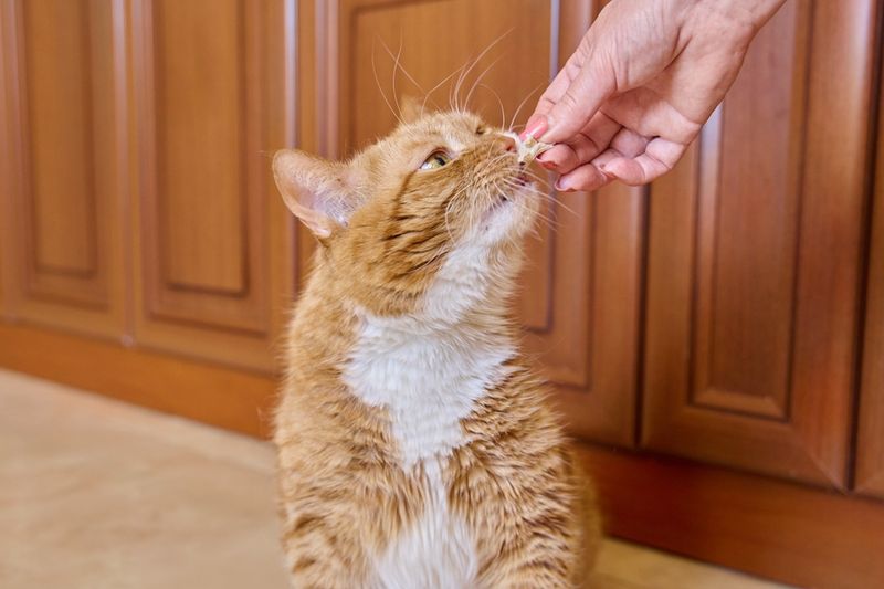 Still Has A Healthy Appetite