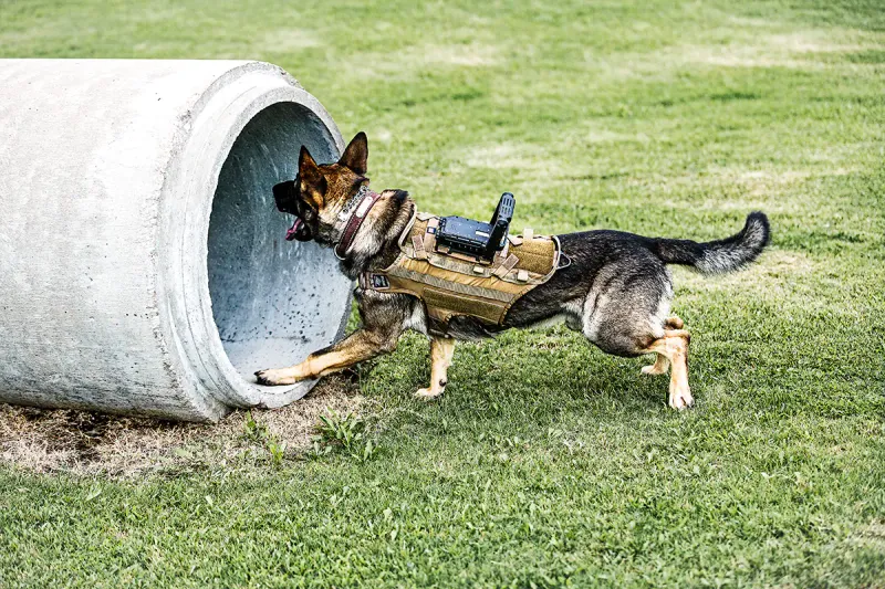 Communication Line Guards
