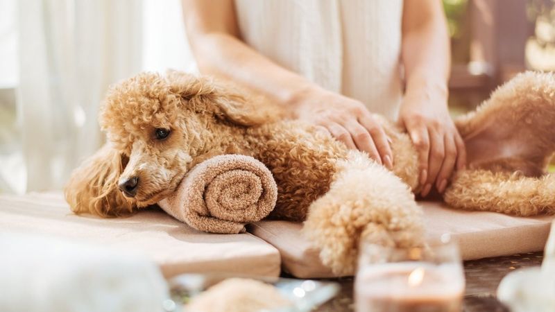 Massage Techniques
