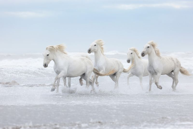 Synchronizing Their Movements