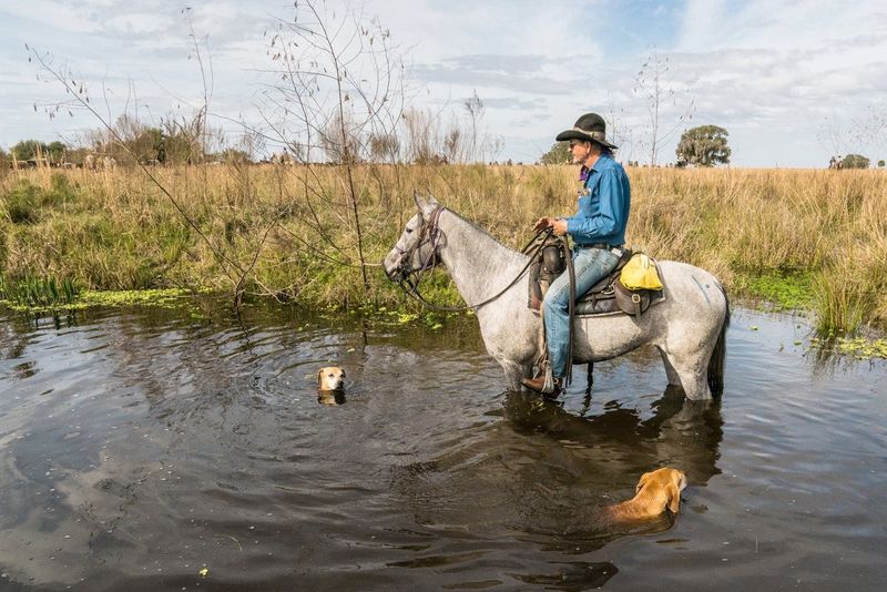 Remarkable Endurance In Harsh Conditions