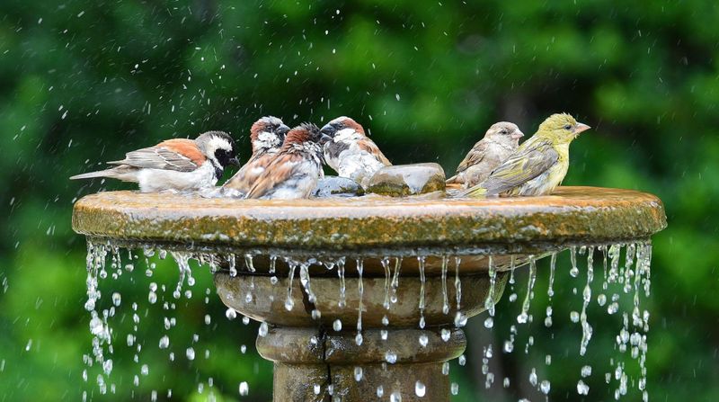 Fresh Water Sources