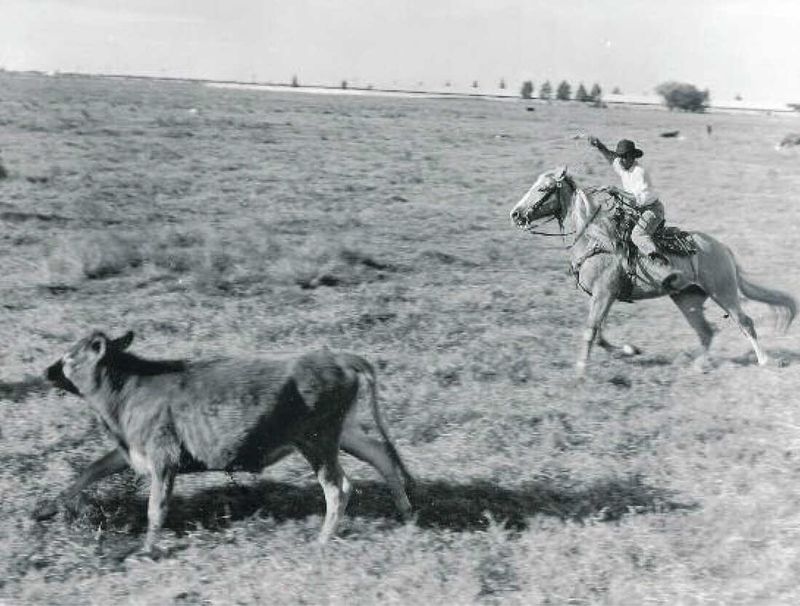 Key Players In America's First Cattle Industry