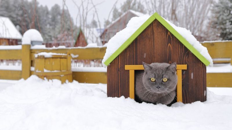 Weather Vulnerability