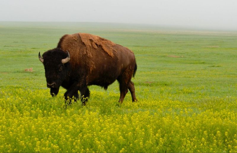 Sustainable Management Practices