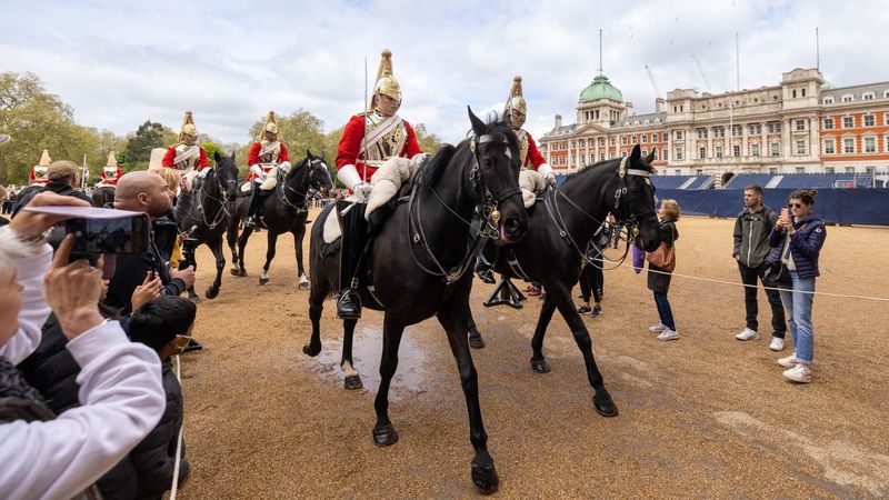 Cavalry Horses In Changing Of The Guard