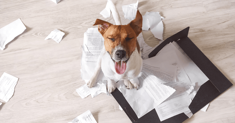 Lack Of Attention To Behavior Problems