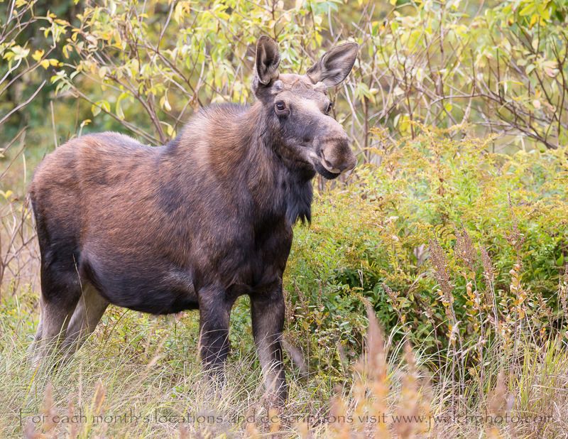 New Hampshire – White Mountain National Forest