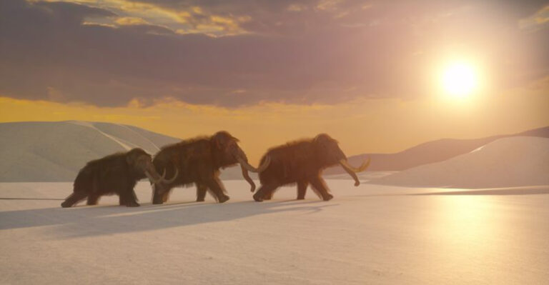 New DNA Evidence Raises Possibility Of Mammoths’ Return