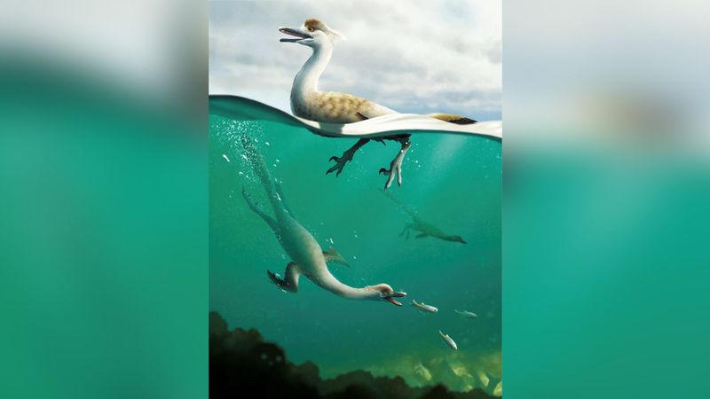 Horned Sea Monster (Natovenator Polydontus)
