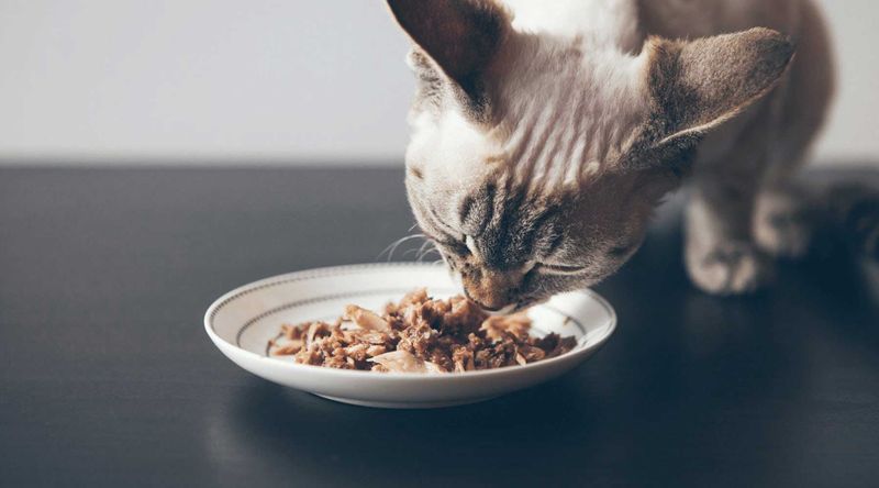 Petite Appetite