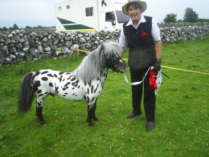 Falabella