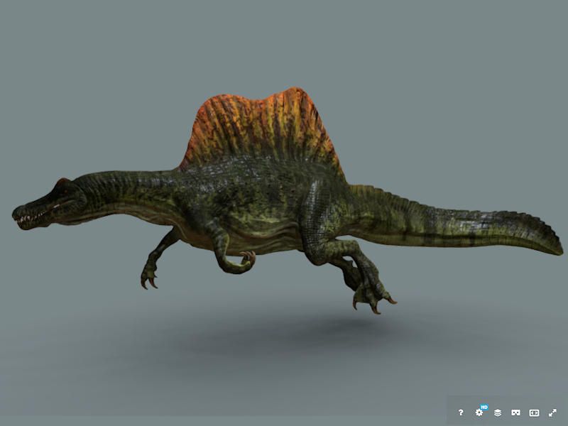 Debated Bipedalism