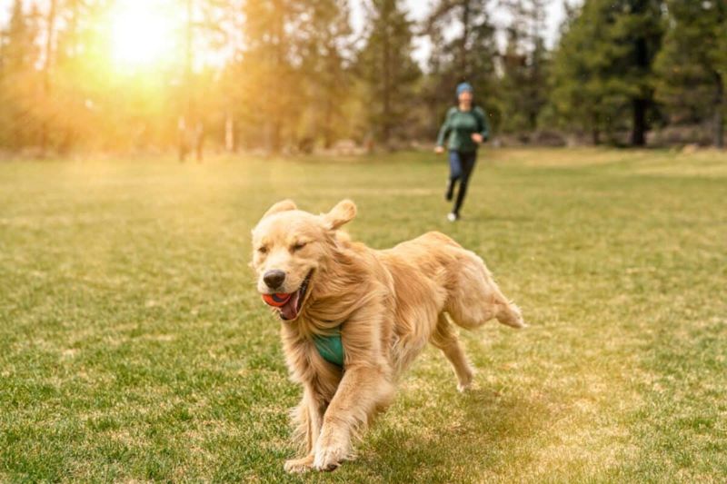 Ignoring Exercise Needs