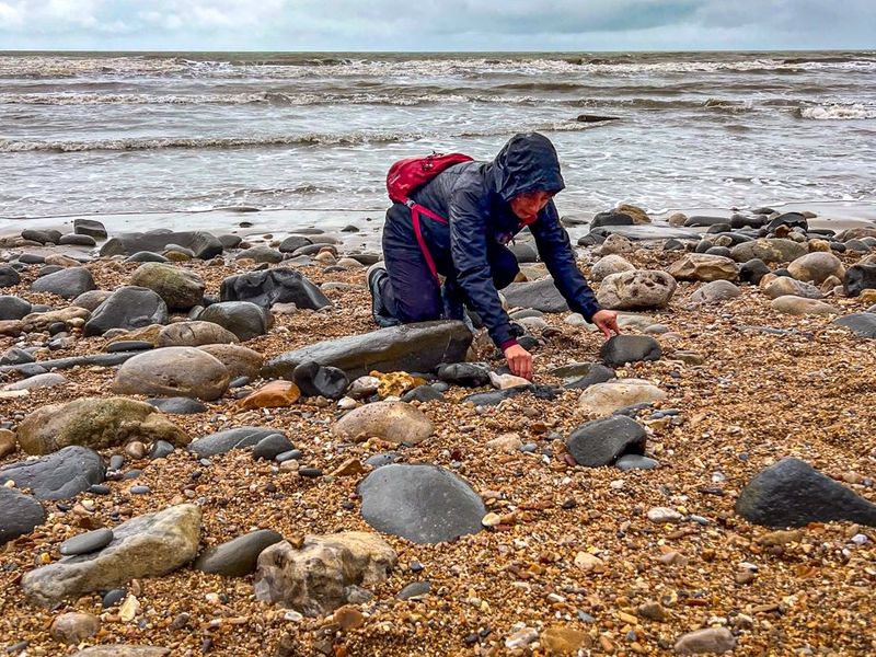 Amateur Fossil Hunters Make History