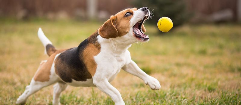 Create A Play Routine