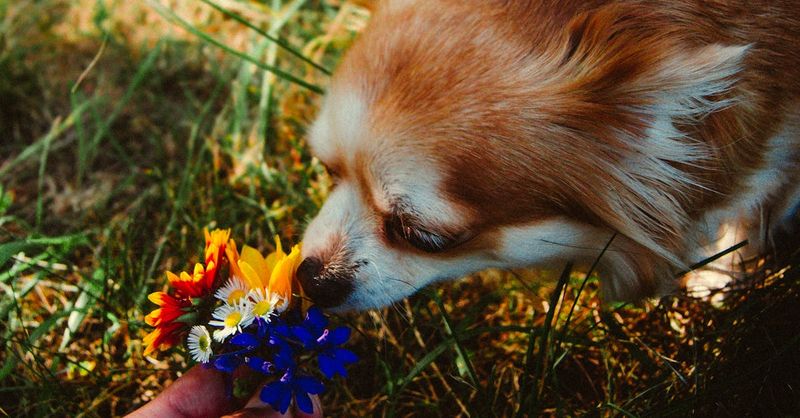 Try Aromatherapy