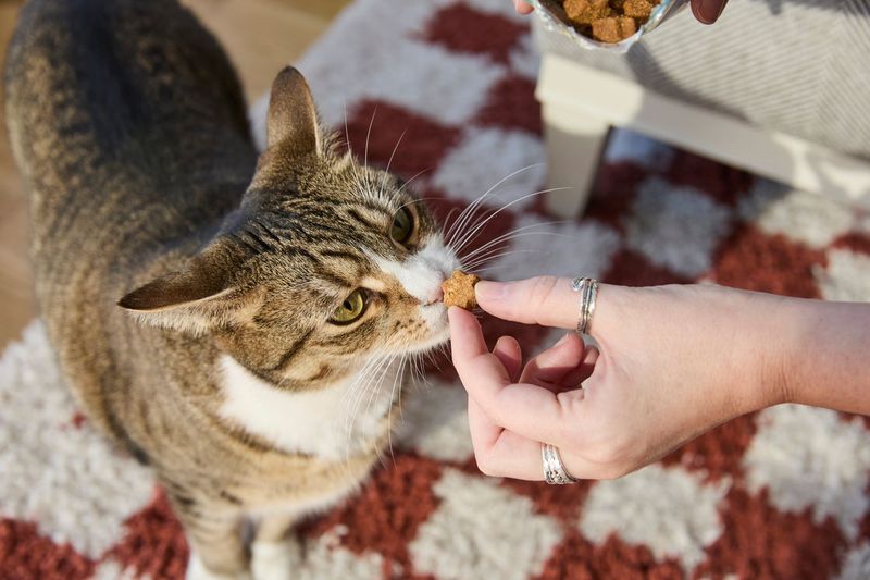 Use Food As A Trust Builder