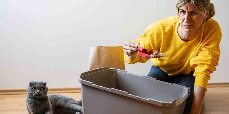 Spring Cleaning Toxins
