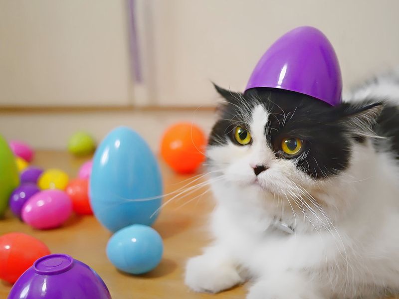 Easter Basket Hazards