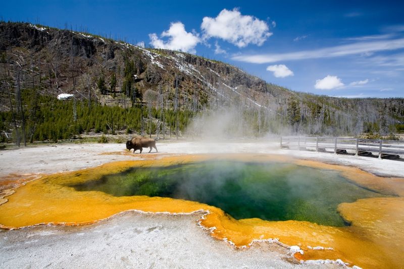 Volcanic Neighbors