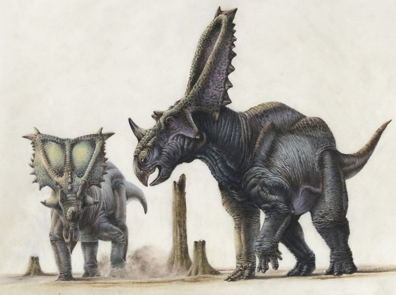 Chasmosaurus
