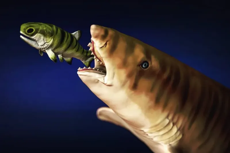 Edestus: The Scissor-Toothed Shark