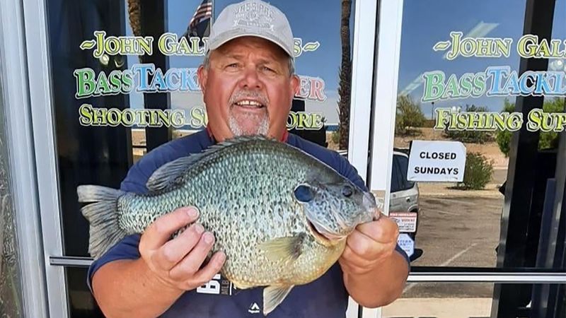 Redear Sunfish