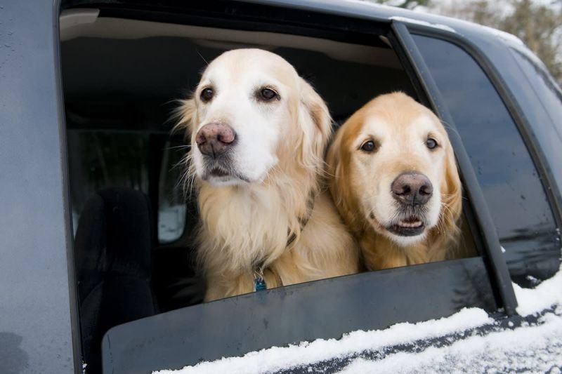 Car Ride Tetris