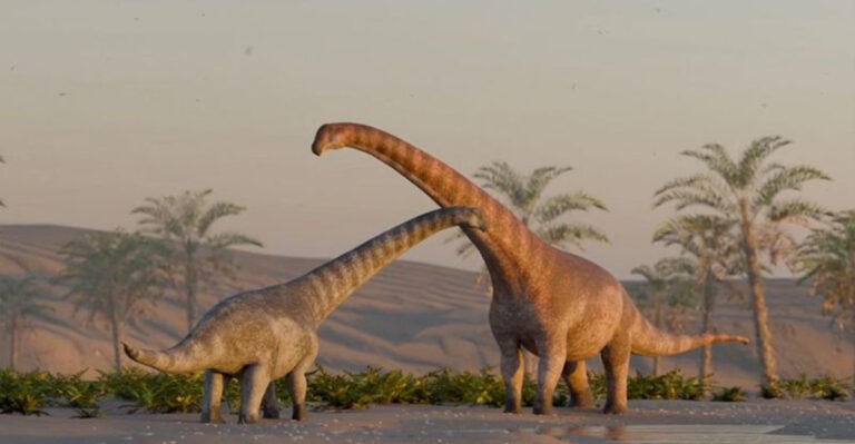 Patagonia’s Lost Giant: The Discovery Of A New Dinosaur Species