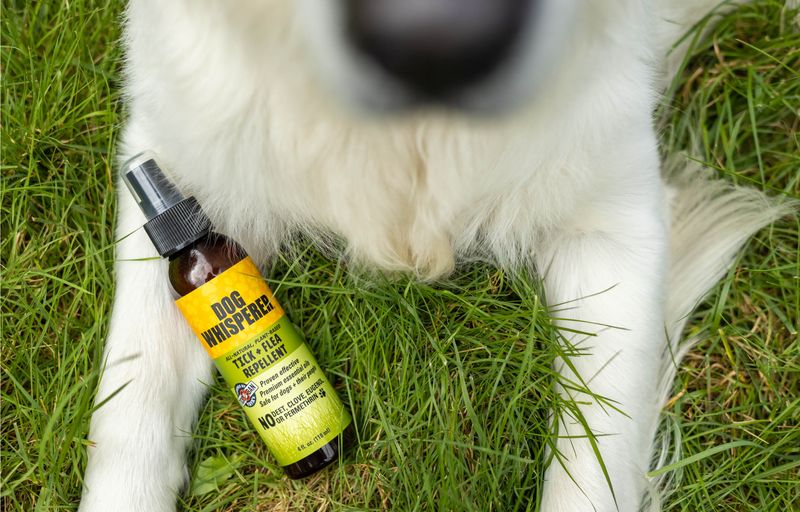 Flea and Tick Defense