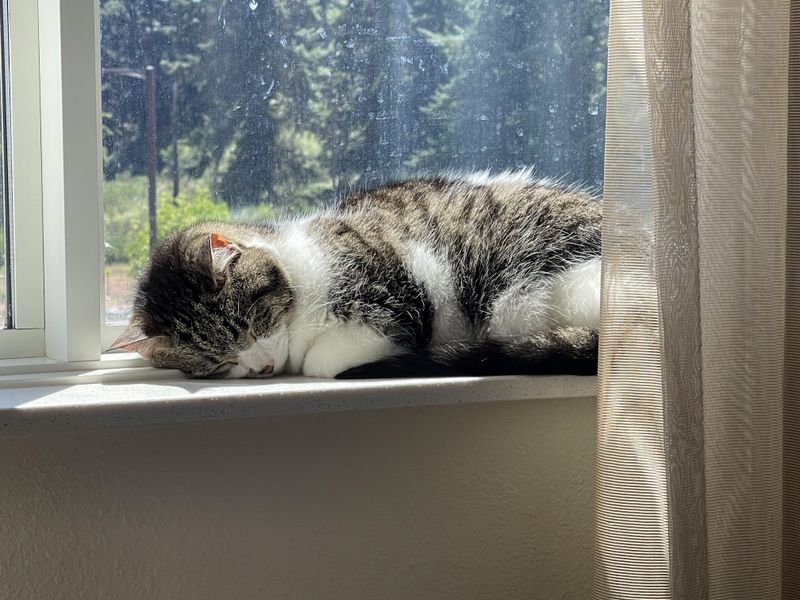 Sleeping Nearby