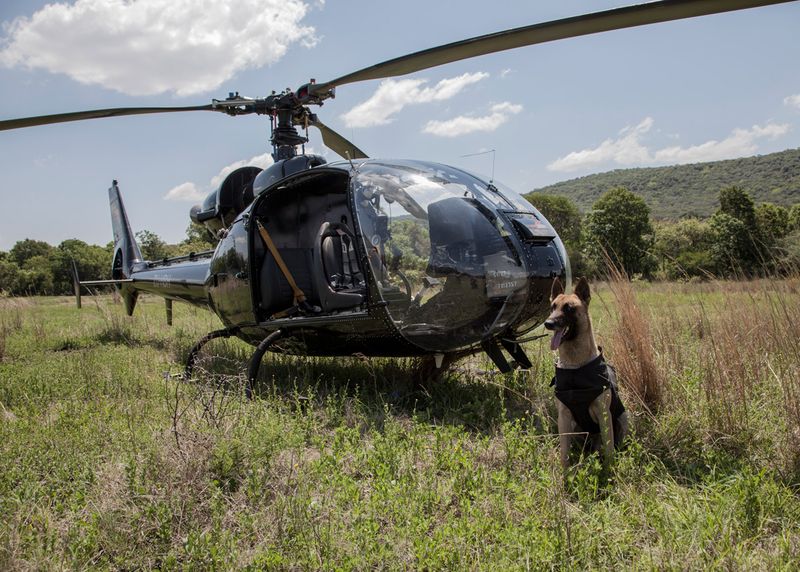Helicopter Insertion Experts