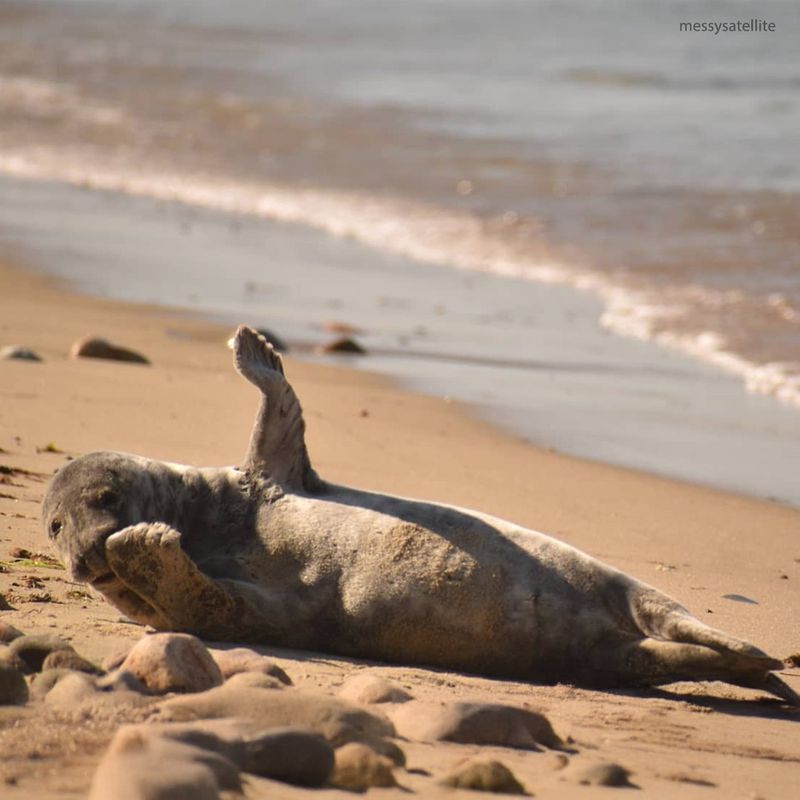 Rhode Island – Block Island