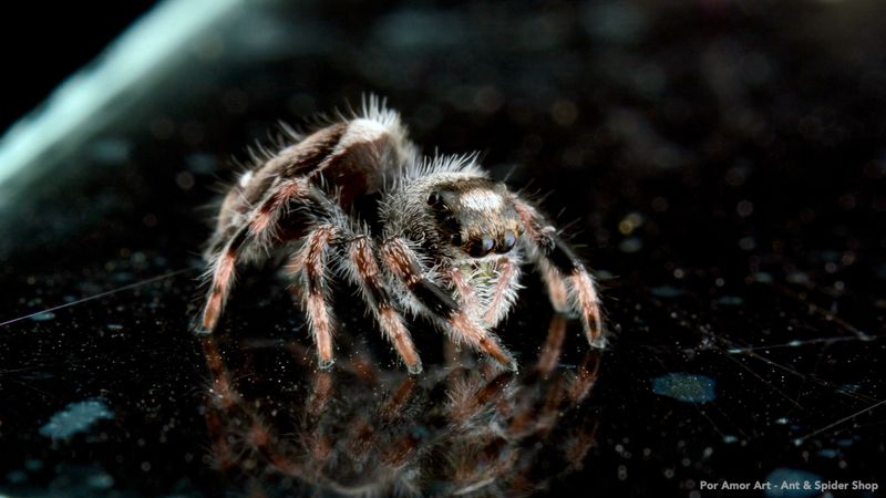 Surprisingly Graceful Movements