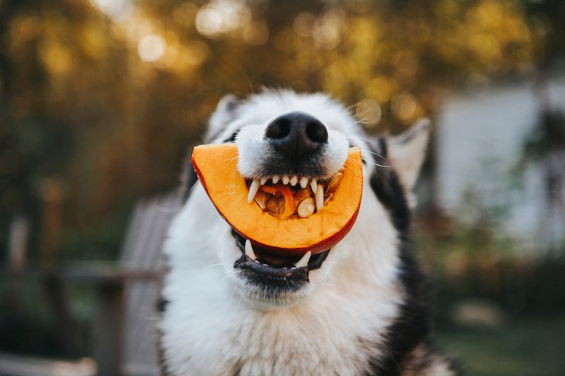 Fresh Fruits And Veggies As Natural Toothbrushes