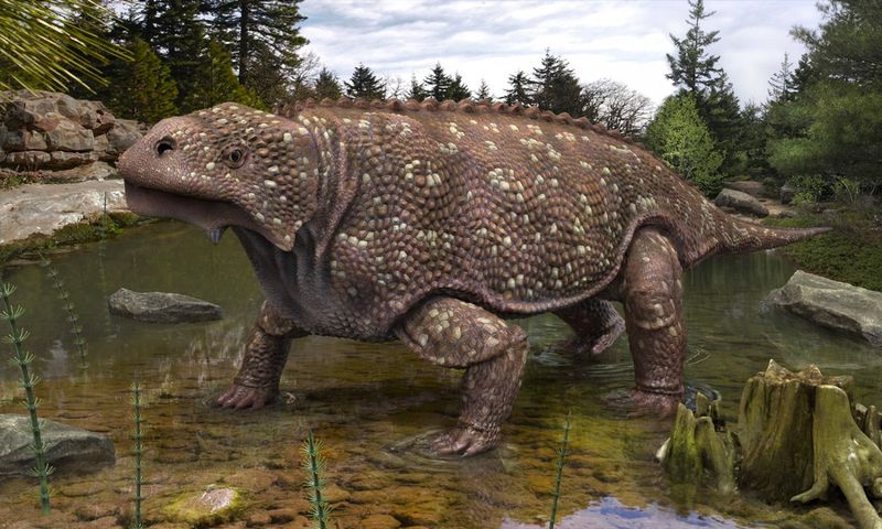 Bradysaurus: The Tank-Like Plant Eater