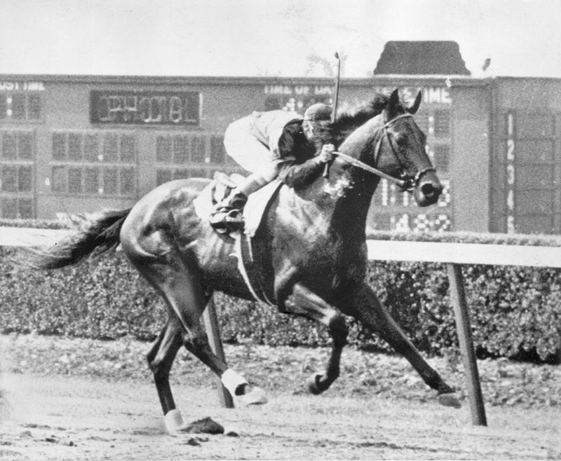 Citation: First Million-Dollar Horse