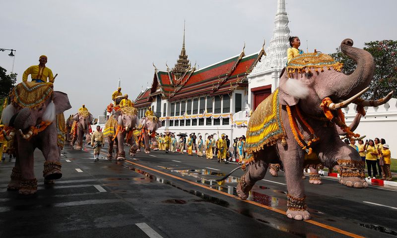 Elephants In Thai Military Parades