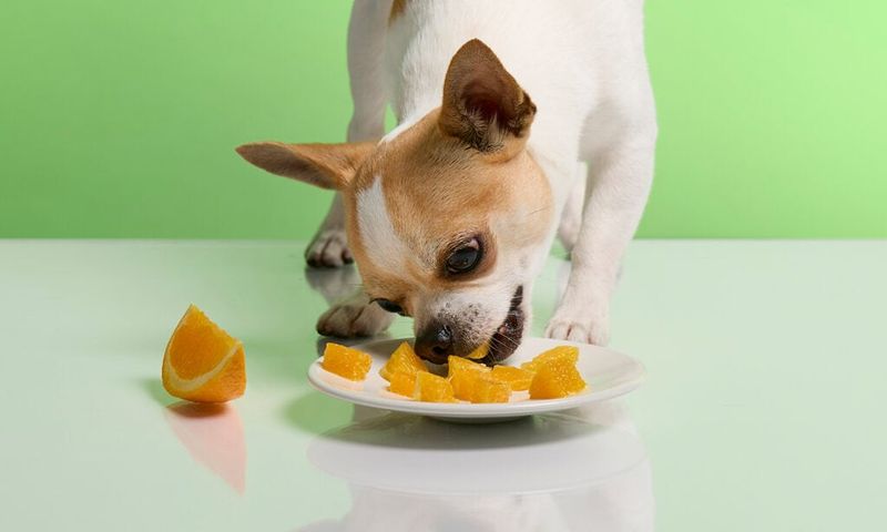 Oranges