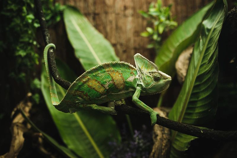 Plant Matter: Surprising Nibbles