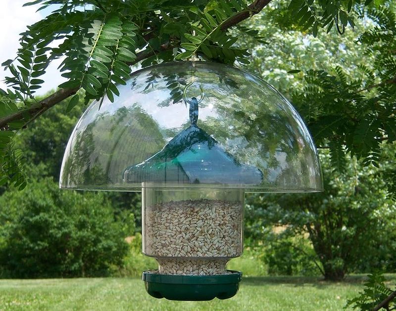 Use Squirrel-Proof Bird Feeder Covers
