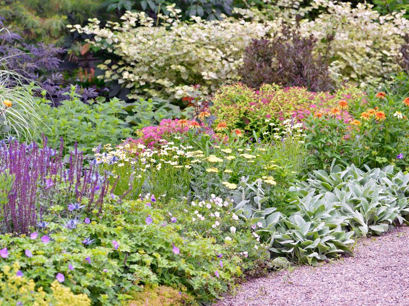 Create Flowering Borders
