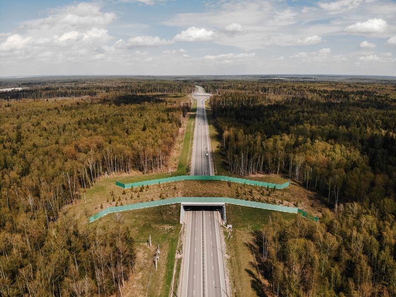 Advocate For Wildlife Crossings